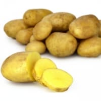 Pomme De Terre De Consommation Baie De Somme