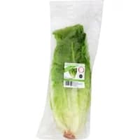 Salade Laitue Romaine