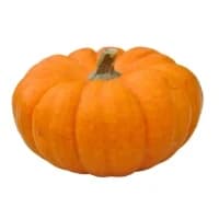 Citrouille Jack Be Little