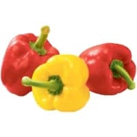 Poivron Panaches Bio