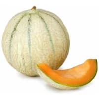 Melon De Cavaillon