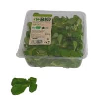 Salade Mache Bio