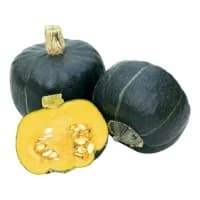 Courge Decouverte Agroecologie Filiere Qualite Carrefour