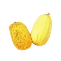Courge Spaghetti Agroecologie Filiere Qualite Carrefour
