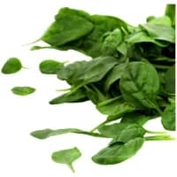 Salade Bio Jeunes Pousses D Epinard