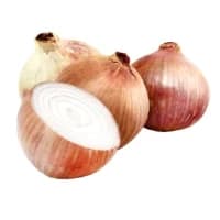 Oignon Saucier