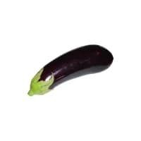 Aubergines Bio