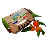 Clementines De Corse Bio