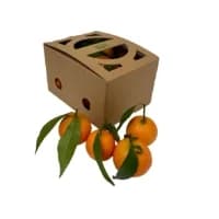 Clementines A Feuille Bio