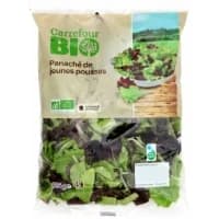 Salade Panache Jeunes Pousses Carrefour Bio