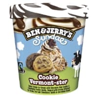 Glace En Pot Sundae Cookie Ben Jerry S