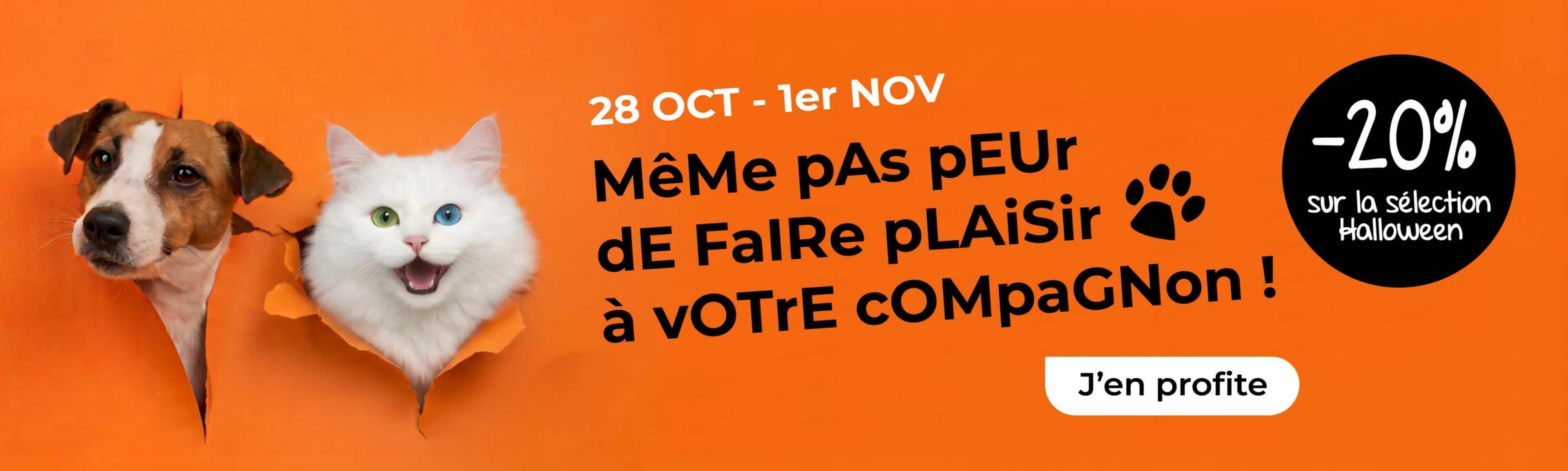 Catalogue Terranimo du 28 octobre au 1 novembre 2026