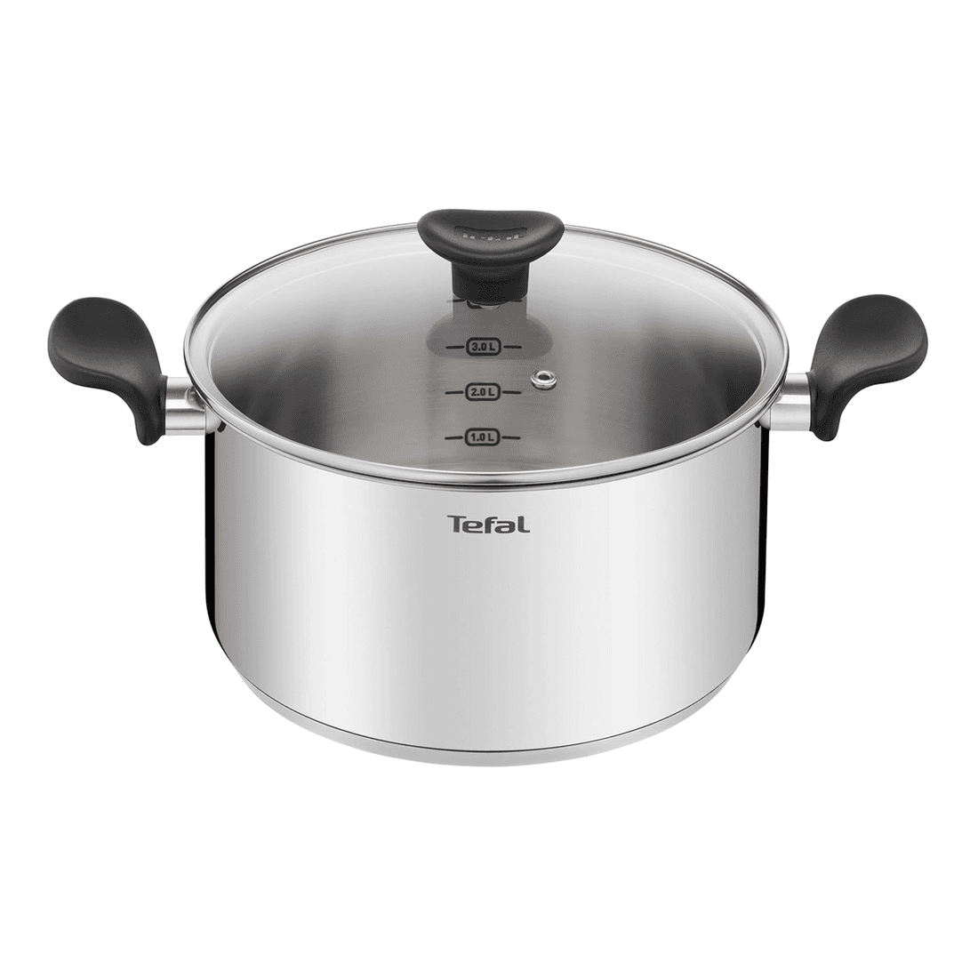 Faitout Inox+couv en Verre 24cm E3084604 Tefal