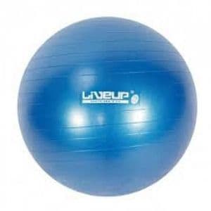 Live Up Ballons gym Ball 75 cm + gonfleur