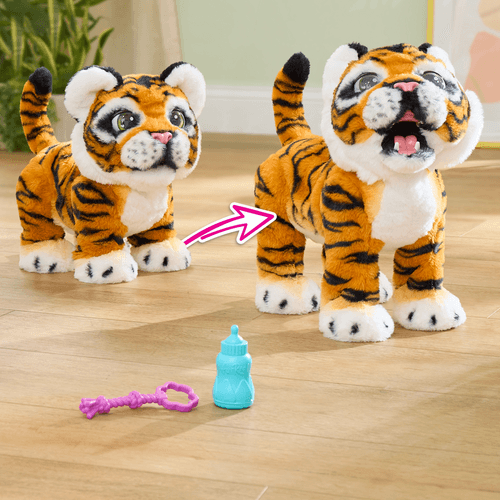 Gabby, le tigre qui grandit et rugit