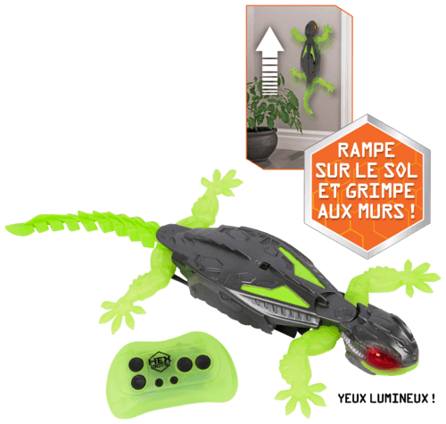 1. Gecko Radiocommandé 2. Centipède Radiocommandé
