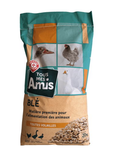 Blé - Tous Mes Amis