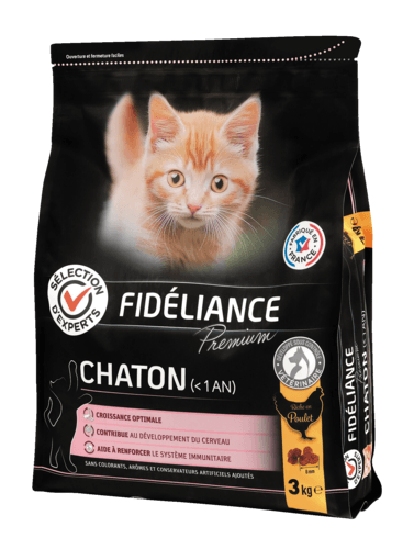 Croquettes pour Chaton