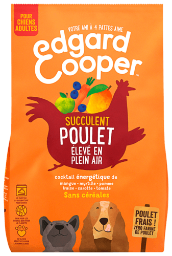 Croquettes pour Chien Adulte