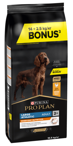 Croquettes Chien Adulte - Purina