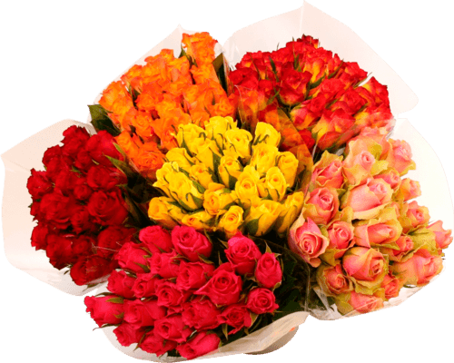 Bouquet de 20 Roses 40cm