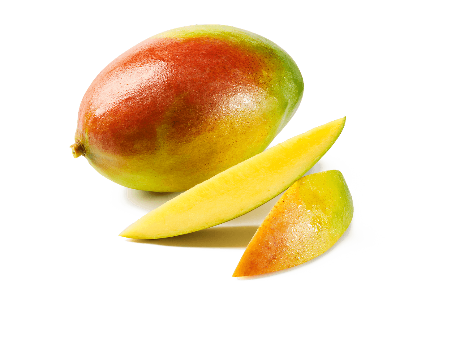 Mangue
