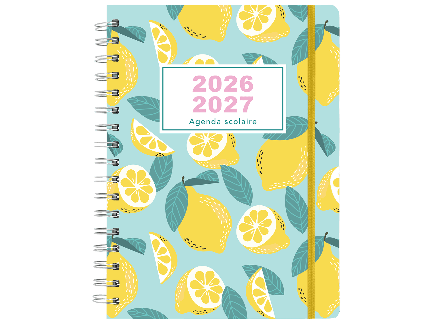 Agenda