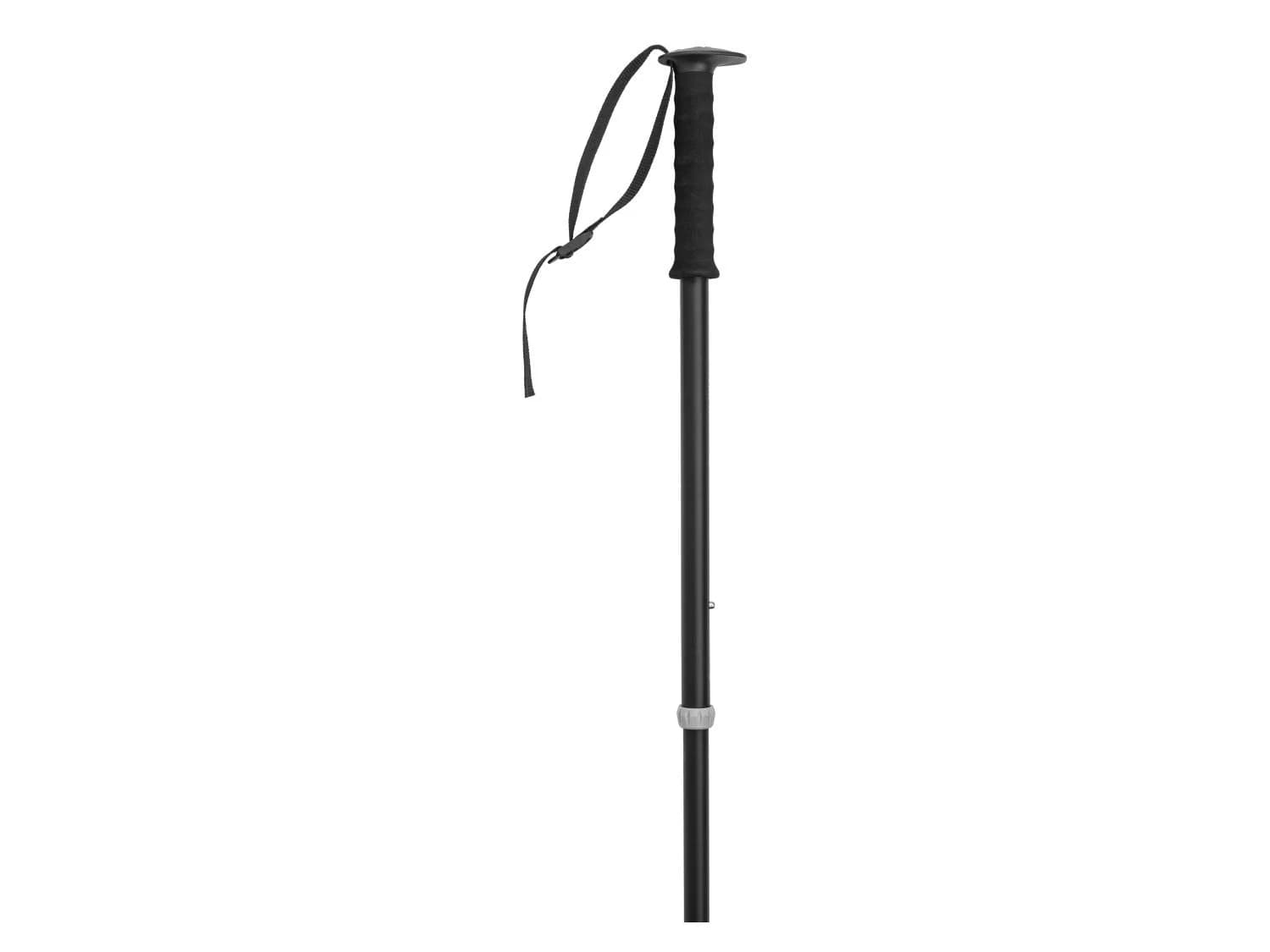 Lot de 2 bâtons de trekking