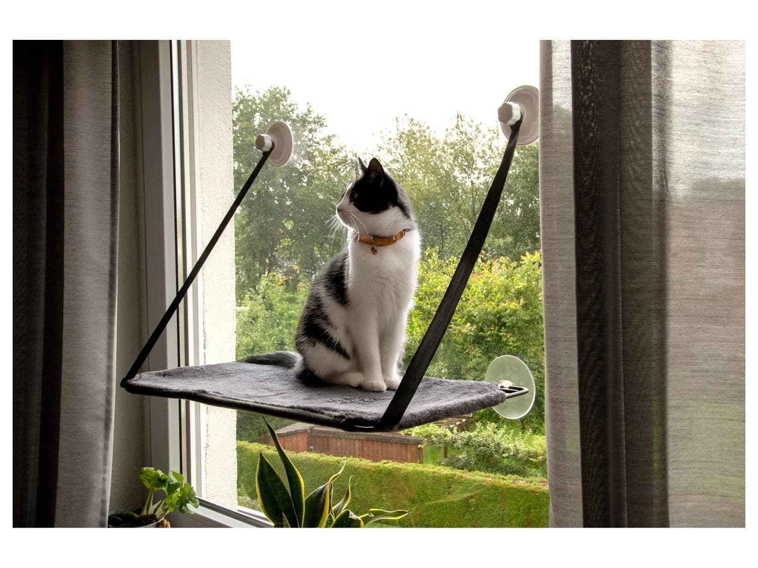 Hamac de fenêtre pour chat, 59 x 32 cm