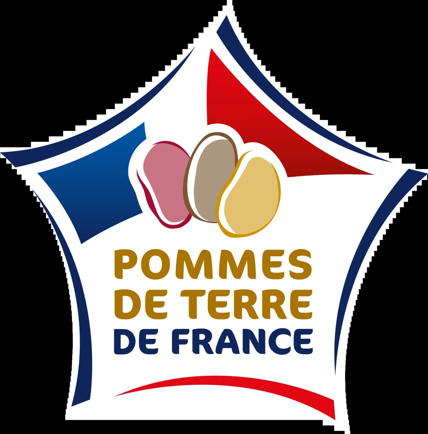 Pomme de terre four