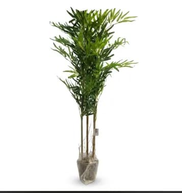 Plante artificielle ficus HDE7726 120cm