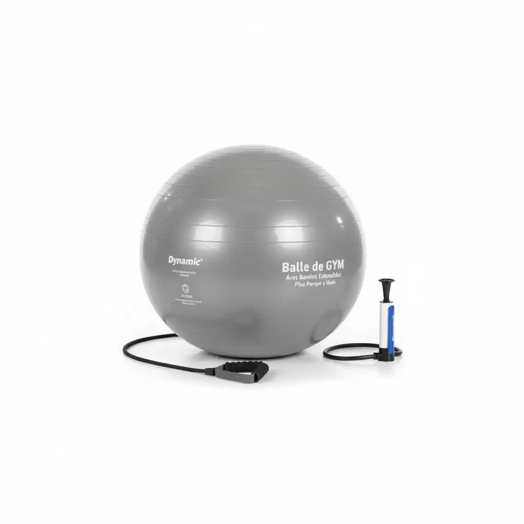 Dynamic Balle de GYM Avec Bandes Extensibles Plus Pompe a Main Gym Ball