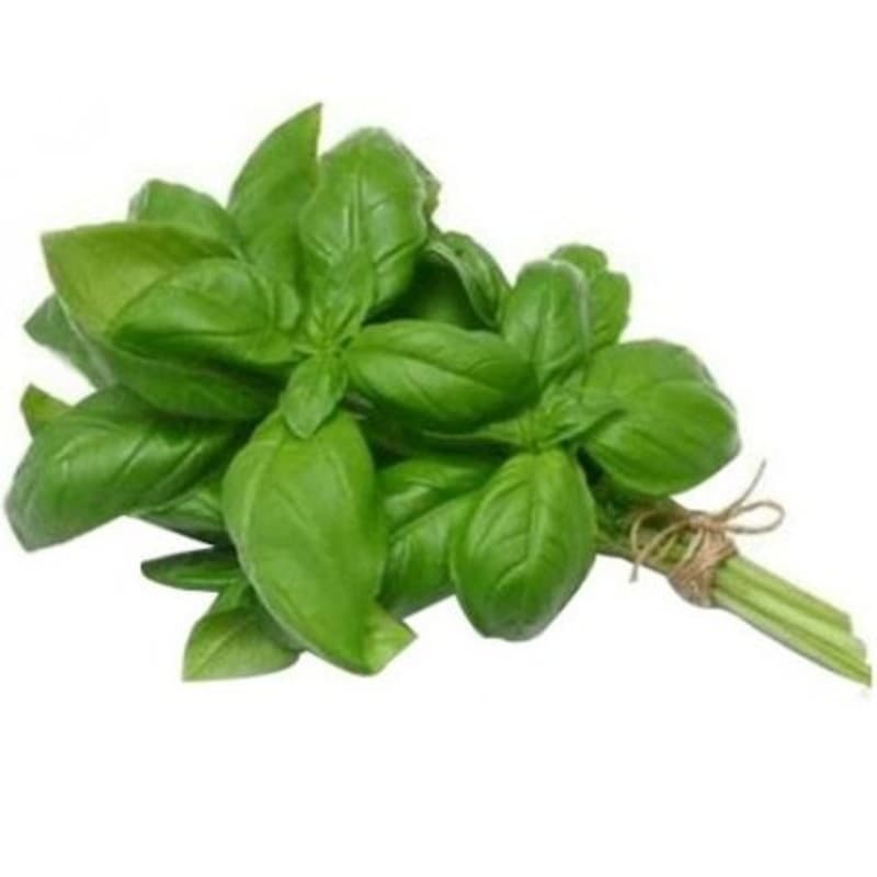 Jardins du Midi Basilic Frais 20g