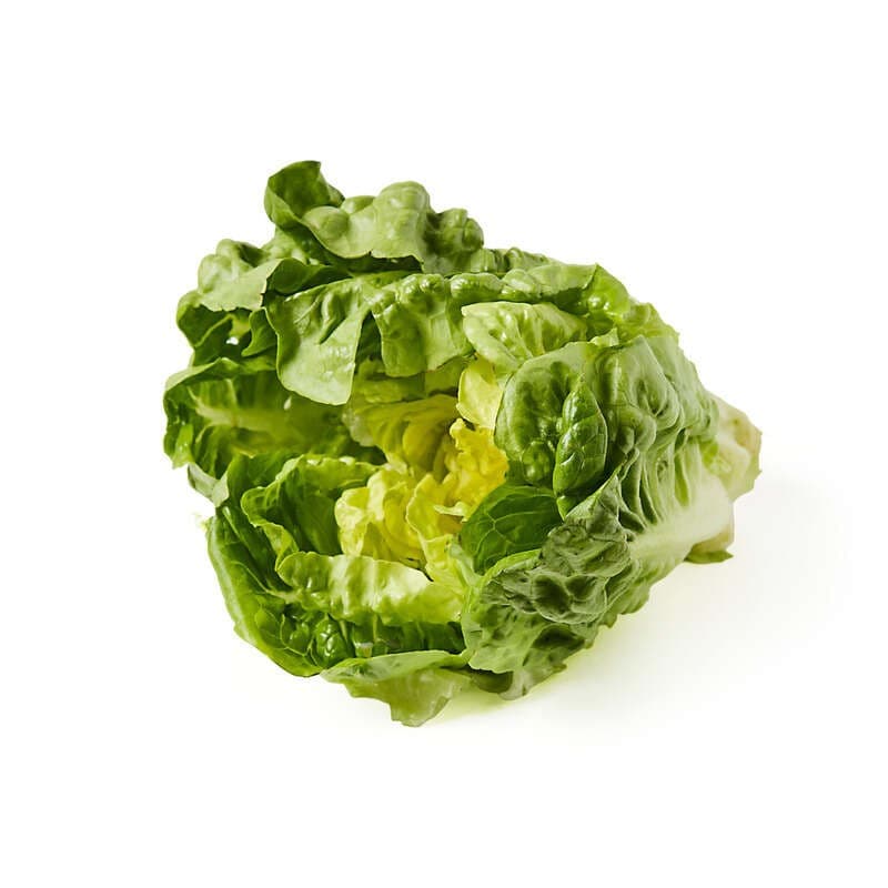 Natoora Salade Sucrine Verte x1