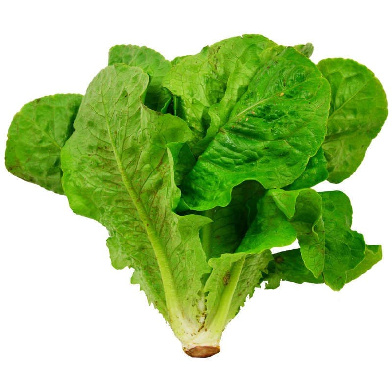 Natoora Salade Fraiche Romaine