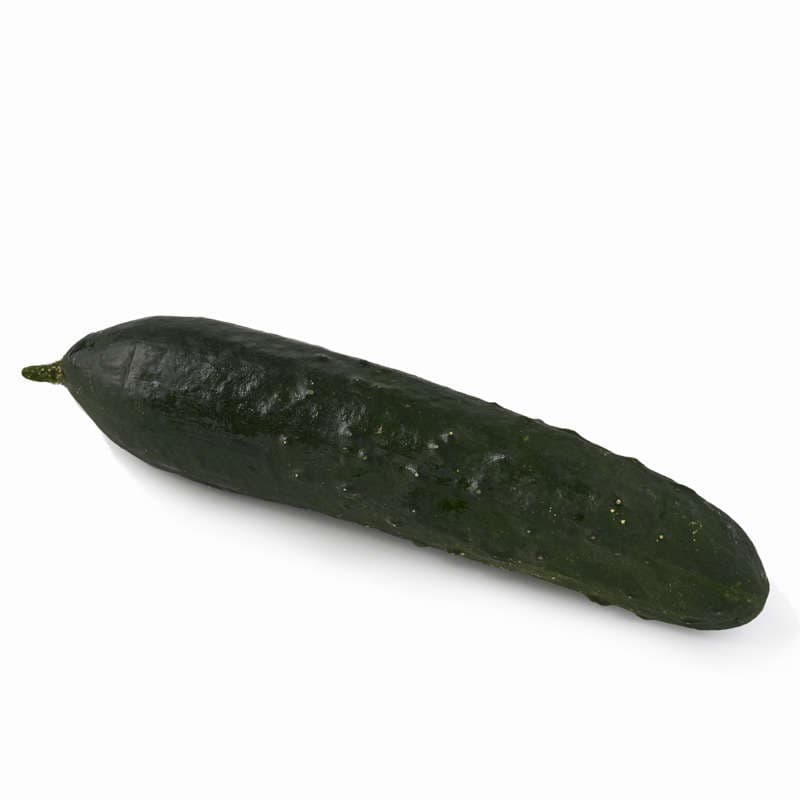 Natoora Concombre Noa x1