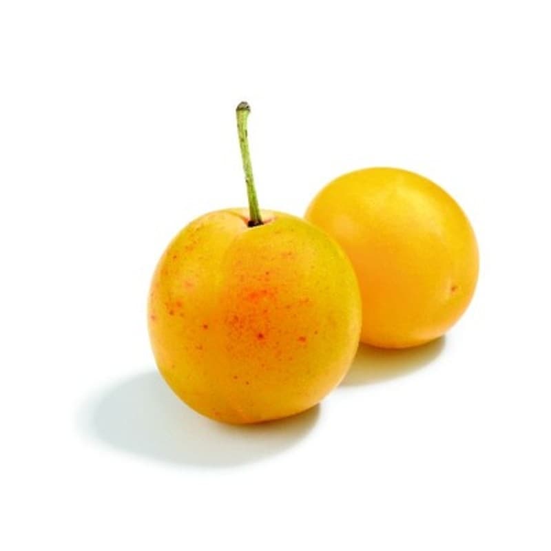 Monoprix Barquette de Prunes Mirabelle 500g