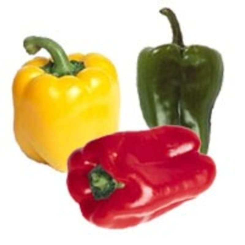 Poivron tricolore 500g - Catégorie 1