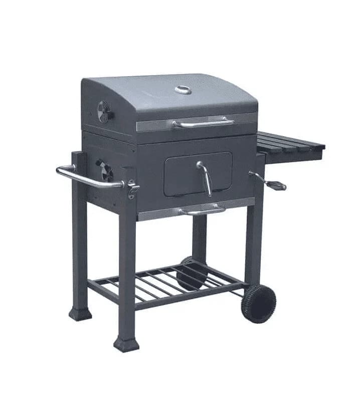 Barbecue au charbon de bois avec grille en fonte