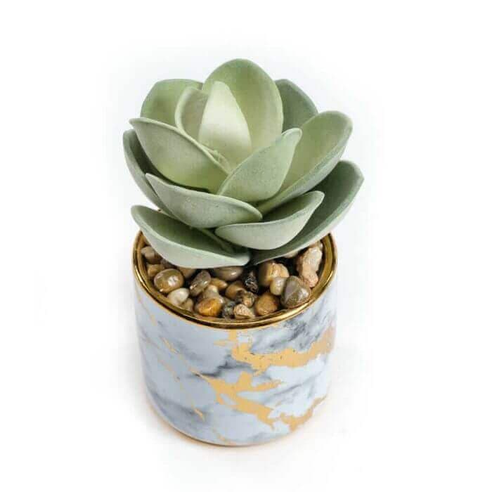 Plante Artificielle
