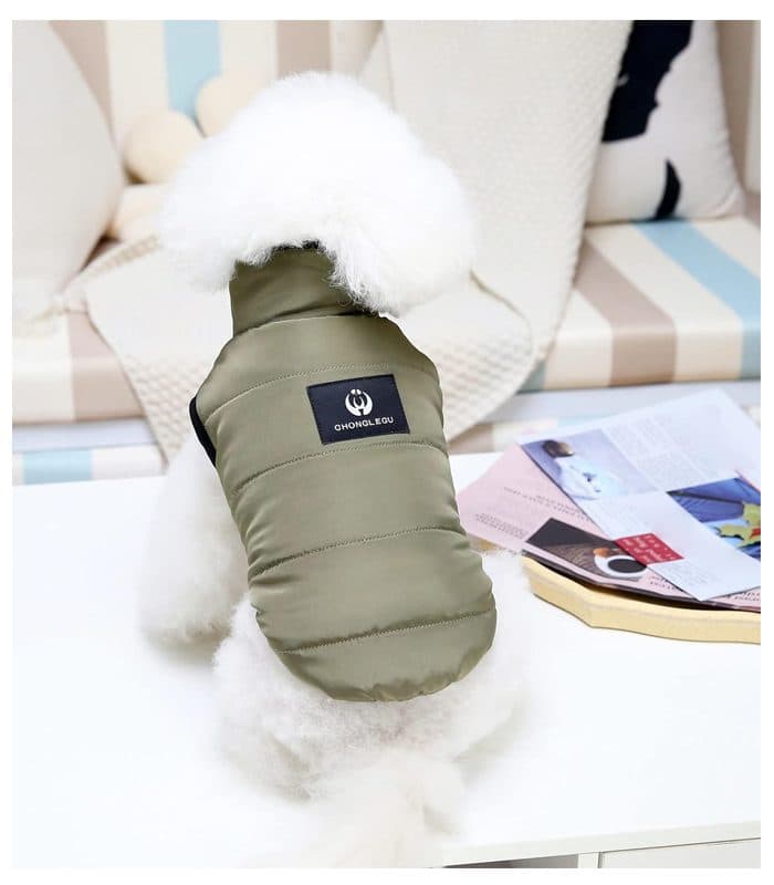Gilet en coton vert arme s