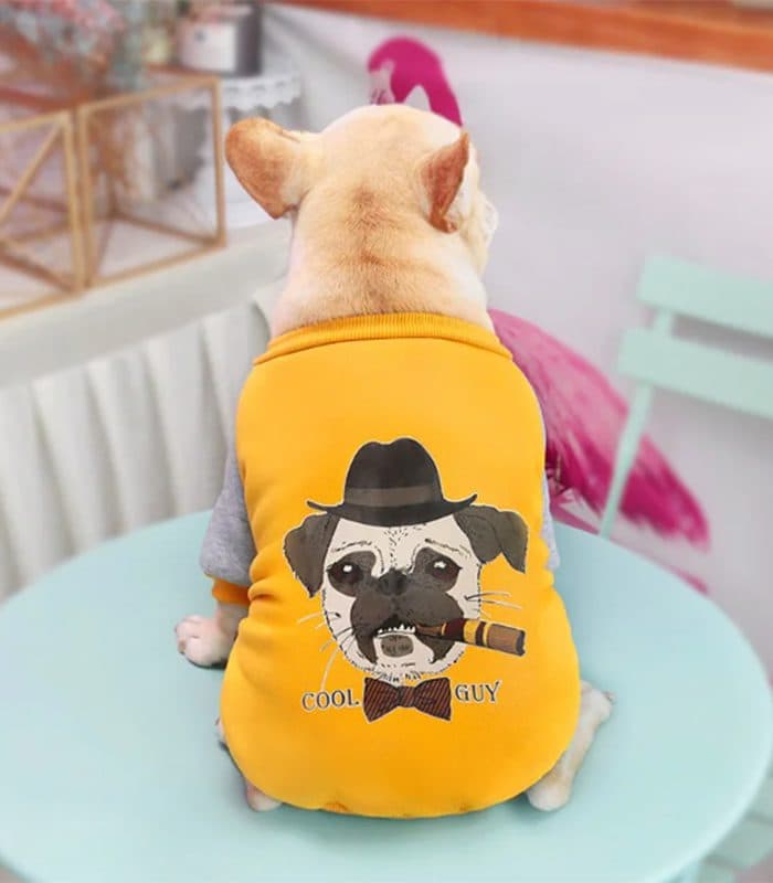 Pull Bouldogue En Coton Jaune M