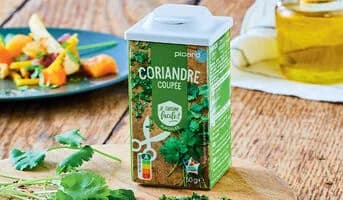Coriandre coupée