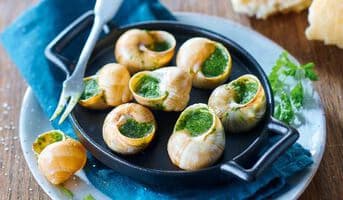 12 Escargots belle grosseur