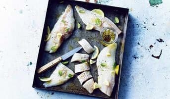 Filets de dorade-sébaste MSC