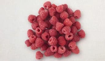 Framboise entière bio, UE et non UE