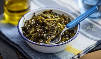 Salade d'algues, wakamé cultivé en Bretagne