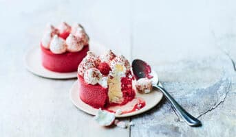 2 Vacherins vanille-framboise