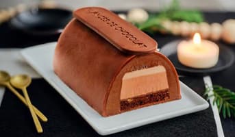 Bûche glacée Nuances de chocolat, 4 parts