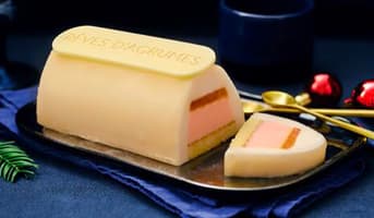 Bûche glacée Rêves d'agrumes, 4 parts
